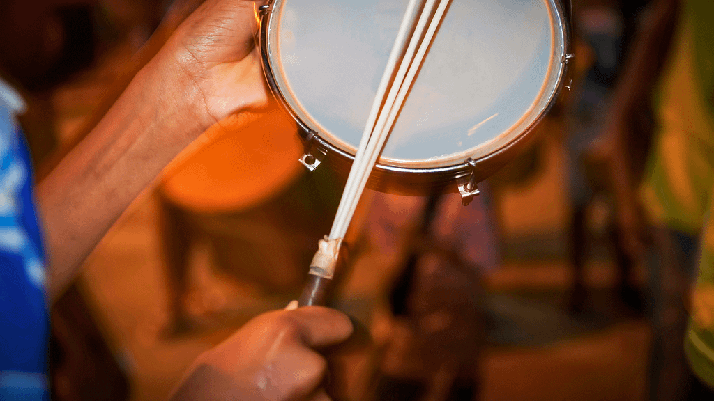 Les instruments typiques du Brésil - tamborim